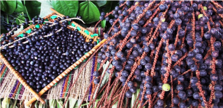 アサイベリーイメージ画像